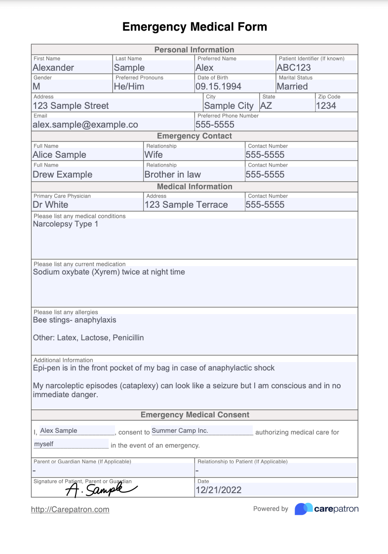 Emergency Medical Form Template Free PDF Download